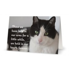 Card Pet Sympathy Cat